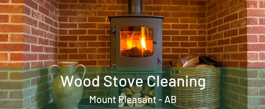  Wood Stove Cleaning Mount Pleasant - AB