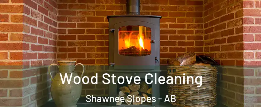 Wood Stove Cleaning Shawnee Slopes - AB