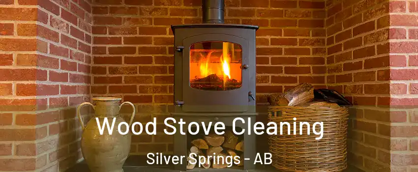  Wood Stove Cleaning Silver Springs - AB