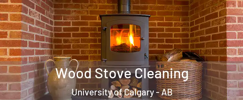  Wood Stove Cleaning University of Calgary - AB
