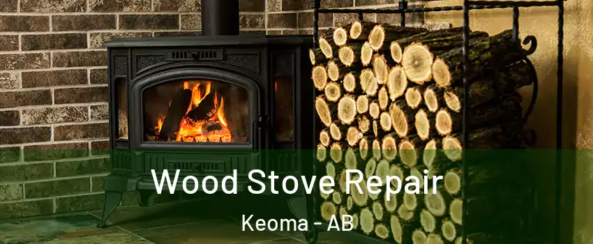  Wood Stove Repair Keoma - AB