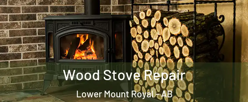  Wood Stove Repair Lower Mount Royal - AB
