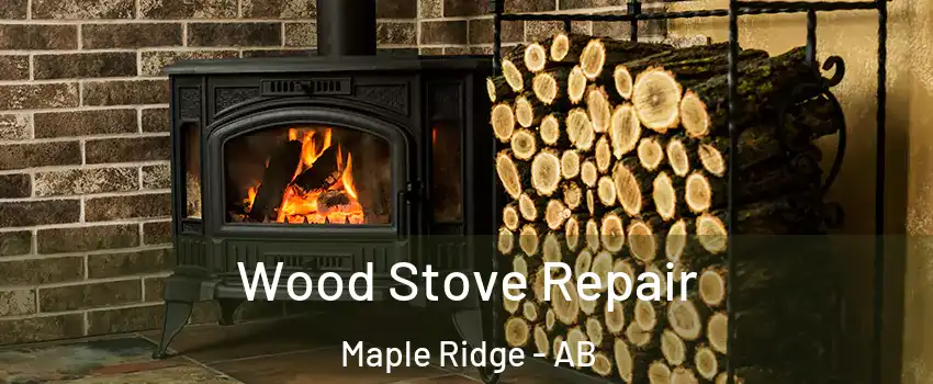  Wood Stove Repair Maple Ridge - AB