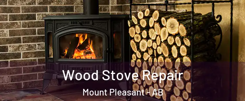  Wood Stove Repair Mount Pleasant - AB