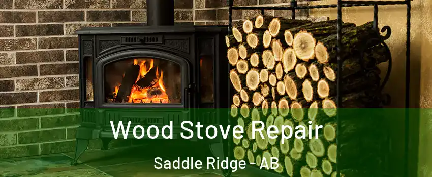  Wood Stove Repair Saddle Ridge - AB