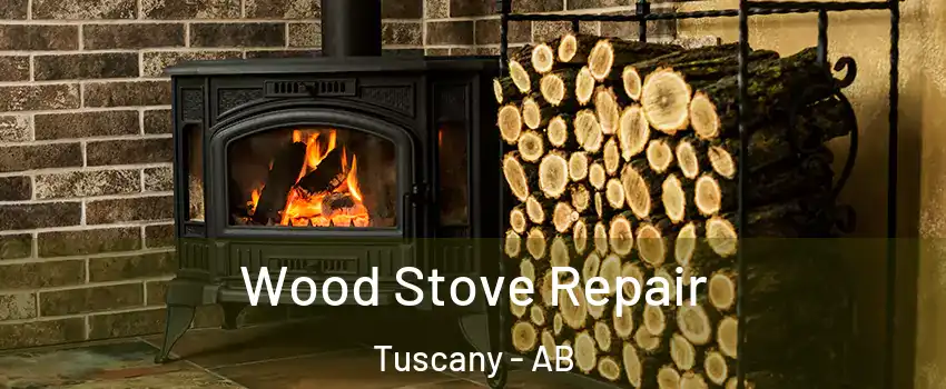  Wood Stove Repair Tuscany - AB